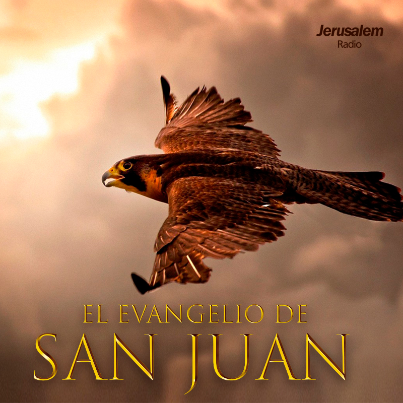 Palabra Viva