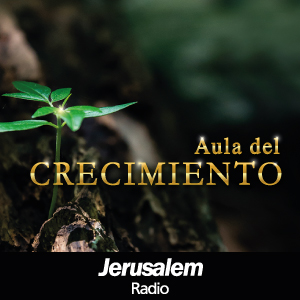 Palabra Viva