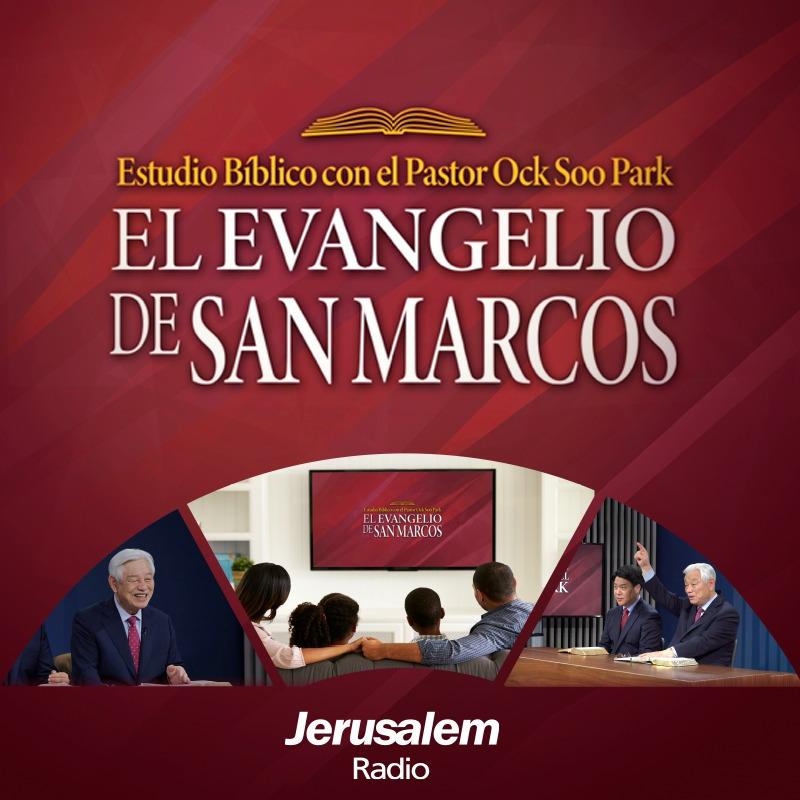 Novedad 1